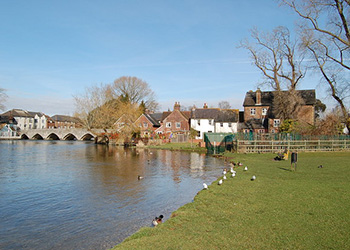 Starting a business in Fordingbridge