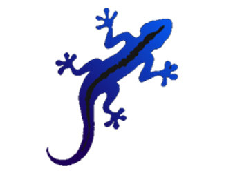 Blue Gecko Digital