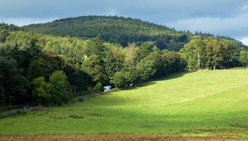 Starting a business in Castlewellan