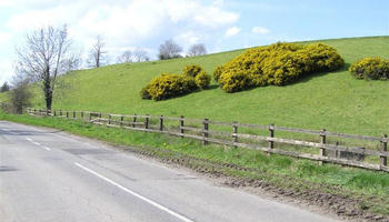 Starting a business in Clogher