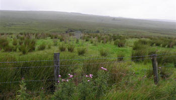 Starting a business in County Donegal